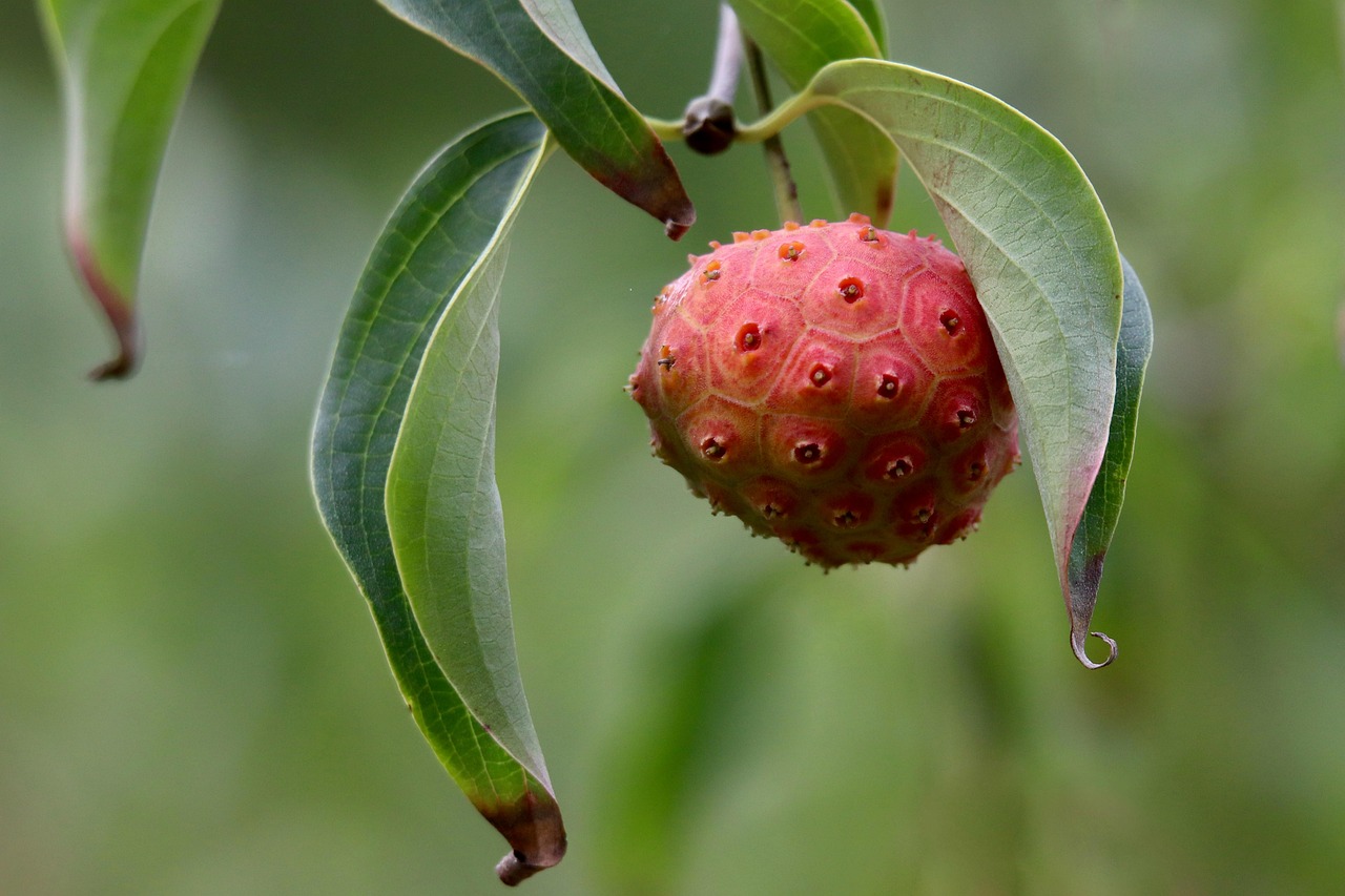 Community participants in a shared workshop session
